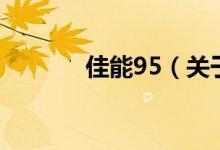 佳能95（關于佳能95的介紹）