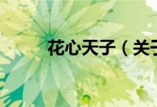 花心天子（關(guān)于花心天子的介紹）