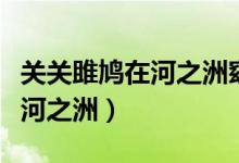 關關雎鳩在河之洲窈窕淑女意思（關關雎鳩在河之洲）