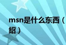 msn是什么東西（關(guān)于msn是什么東西的介紹）