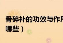 骨碎補的功效與作用（骨碎補的功效與作用有哪些）