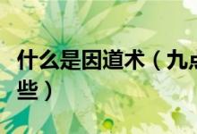 什么是因道術(shù)（九點領(lǐng)導(dǎo)力的主要內(nèi)容包括哪些）