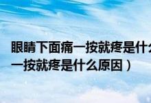 眼睛下面痛一按就疼是什么原因,導(dǎo)致頭有點(diǎn)痛（眼睛下面痛一按就疼是什么原因）