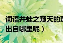 詞語井蛙之窺天的窺是什么意思(井蛙之窺天出自哪里呢)