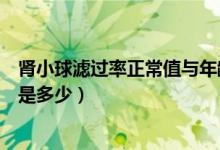 腎小球濾過率正常值與年齡的對照表（腎小球濾過率正常值是多少）
