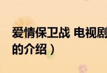 愛情保衛(wèi)戰(zhàn) 電視?。P于愛情保衛(wèi)戰(zhàn) 電視劇的介紹）