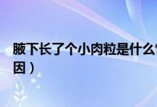 腋下長了個小肉粒是什么情況（腋下長了個小肉粒是什么原因）