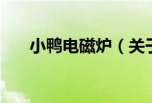 小鴨電磁爐（關(guān)于小鴨電磁爐的介紹）