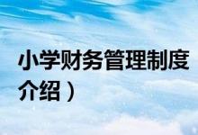 小學(xué)財務(wù)管理制度（關(guān)于小學(xué)財務(wù)管理制度的介紹）