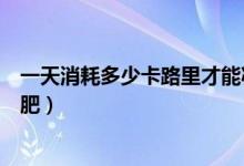 一天消耗多少卡路里才能減肥（一天消耗多少卡路里才能減肥）