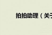 拍拍助理（關(guān)于拍拍助理的介紹）