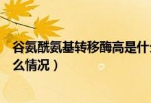 谷氨酰氨基轉(zhuǎn)移酶高是什么意思（谷氨酰氨基轉(zhuǎn)移酶高是什么情況）