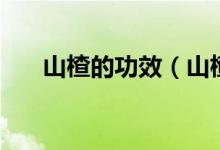 山楂的功效（山楂的功效與作用介紹）