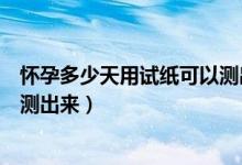懷孕多少天用試紙可以測出倆杠來（懷孕多少天用試紙可以測出來）