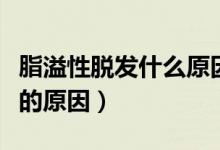 脂溢性脫發(fā)什么原因?qū)е碌模ㄔ斐芍缧悦摪l(fā)的原因）