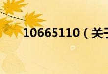 10665110（關(guān)于10665110的介紹）