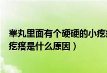 睪丸里面有個硬硬的小疙瘩是什么引起的（睪丸里面有個硬疙瘩是什么原因）