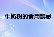牛奶樹的食用禁忌（牛奶樹有什么禁忌嗎）