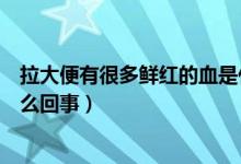 拉大便有很多鮮紅的血是什么原因（拉大便有鮮紅的血是怎么回事）