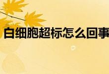 白細(xì)胞超標(biāo)怎么回事（白細(xì)胞超標(biāo)怎么回事）