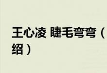 王心凌 睫毛彎彎（關(guān)于王心凌 睫毛彎彎的介紹）