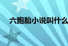 六胞胎小說叫什么名（六胞胎小說名稱）