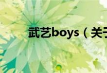武藝boys（關(guān)于武藝boys的介紹）