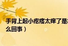 手背上起小疙瘩太癢了是怎么回事（手背上起小疙瘩很癢怎么回事）
