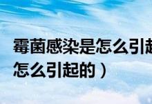 霉菌感染是怎么引起的用什么藥（霉菌感染是怎么引起的）