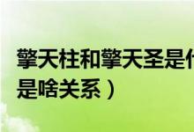 擎天柱和擎天圣是什么關(guān)系（擎天柱和擎天圣是啥關(guān)系）