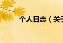 個(gè)人日志（關(guān)于個(gè)人日志的介紹）