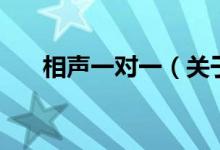 相聲一對一（關(guān)于相聲一對一的介紹）