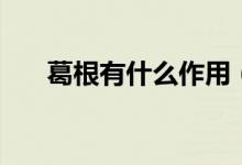 葛根有什么作用（葛根的功效與作用）