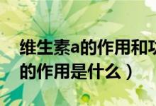 維生素a的作用和功效可以美白嗎（維生素A的作用是什么）