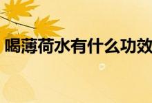 喝薄荷水有什么功效（喝薄荷水有什么好處）
