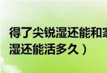 得了尖銳濕還能和家人一起生活嗎（得了尖銳濕還能活多久）