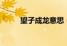 望子成龍意思（望子成龍的出處）