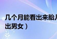 幾個(gè)月能看出來(lái)胎兒的發(fā)育正常（幾個(gè)月能看出男女）