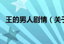 王的男人劇情（關(guān)于王的男人劇情的介紹）