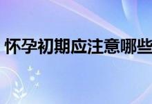 懷孕初期應(yīng)注意哪些（懷孕初期的注意事項(xiàng)）