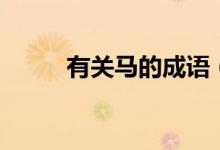 有關(guān)馬的成語（有關(guān)馬四字成語）