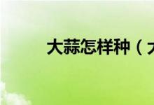大蒜怎樣種（大蒜種植方法介紹）