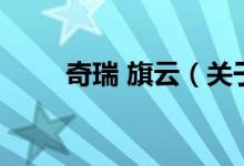 奇瑞 旗云（關(guān)于奇瑞 旗云的介紹）