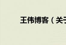 王偉博客（關(guān)于王偉博客的介紹）