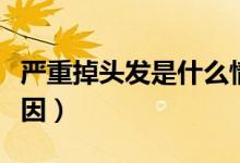 嚴(yán)重掉頭發(fā)是什么情況（嚴(yán)重掉頭發(fā)是什么原因）