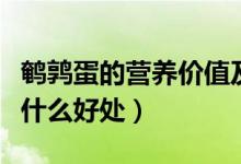 鵪鶉蛋的營養(yǎng)價值及功效與作用（吃鵪鶉蛋有什么好處）