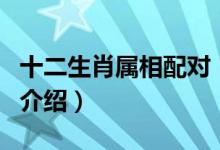 十二生肖屬相配對（關(guān)于十二生肖屬相配對的介紹）