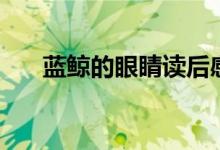 藍(lán)鯨的眼睛讀后感（藍(lán)鯨的眼睛簡介）