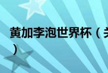 黃加李泡世界杯（關(guān)于黃加李泡世界杯的介紹）