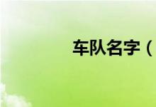 車隊名字（車隊名字大全）